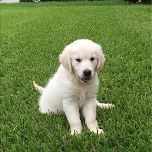 Meet your Posher, Rosalyn