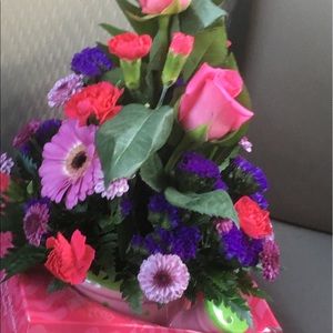 Meet your Posher, Norma