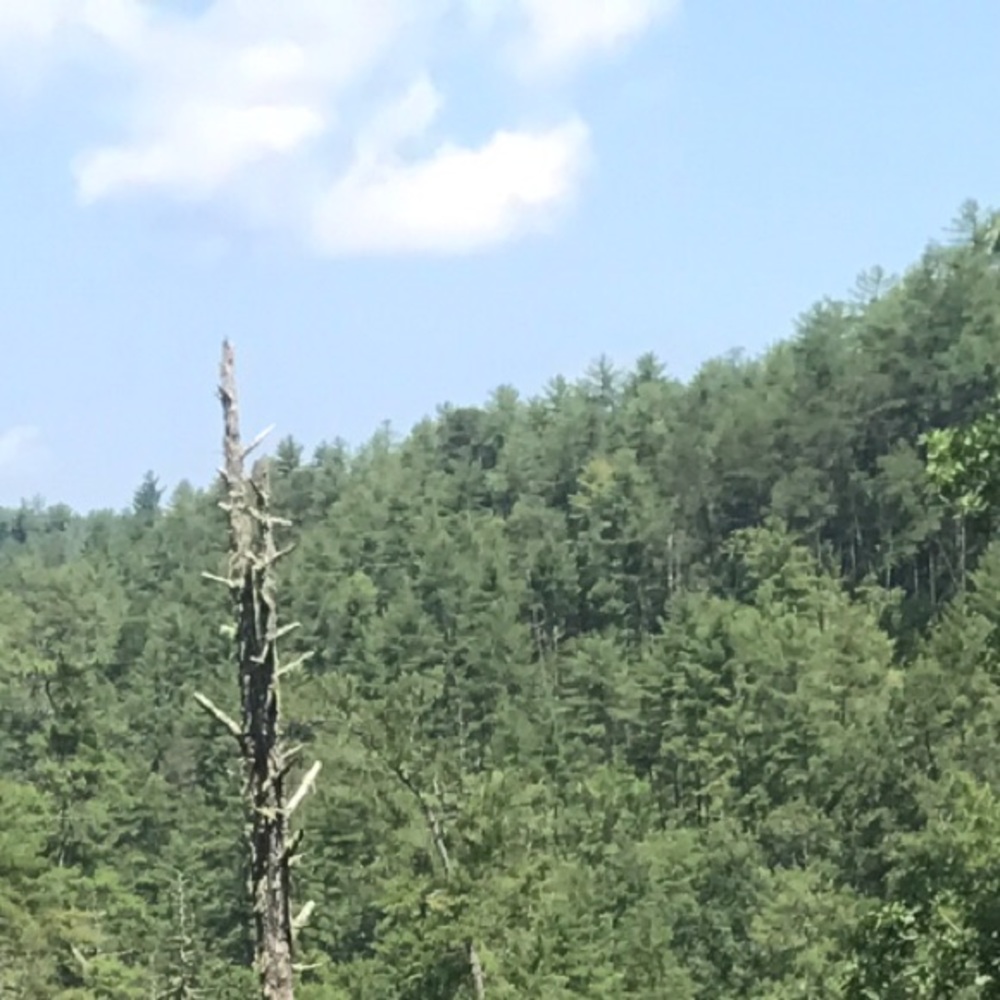 Meet your Posher, Kaitlyn