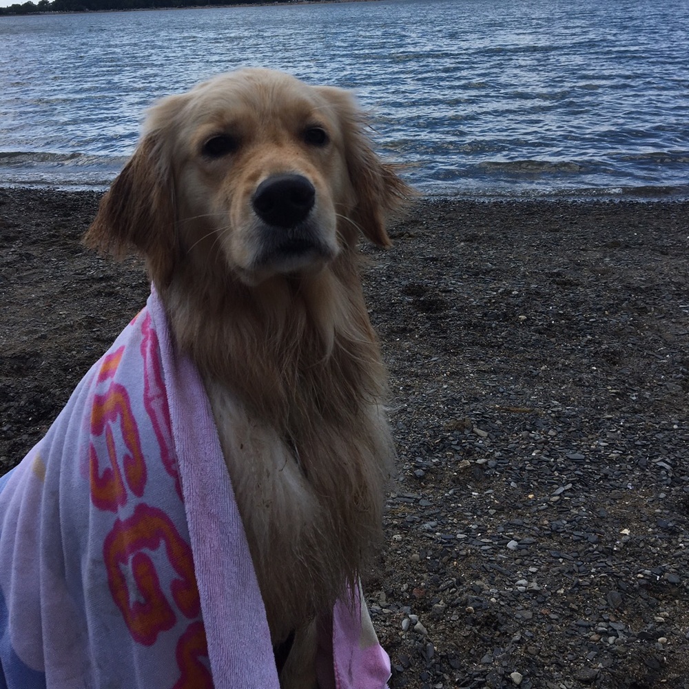 Meet your Posher, Samantha