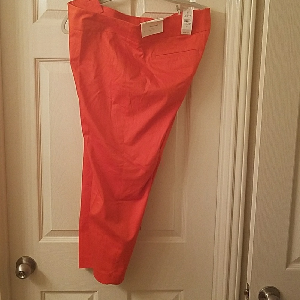 Brand new with tags Ann Taylor loft capris pants