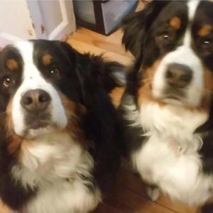 Meet your Posher, Francine