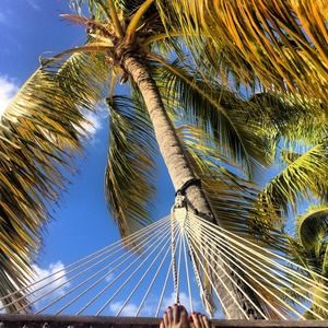 Meet your Posher, Corrina