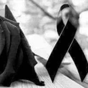 Meet your Posher, Luisa