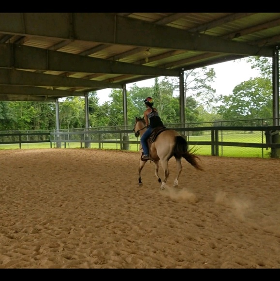 Meet your Posher, Chloe - Picture 1 of 1