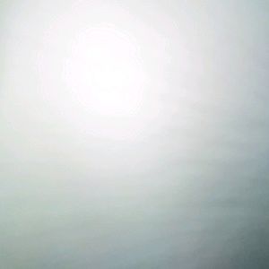 Meet your Posher, Alan