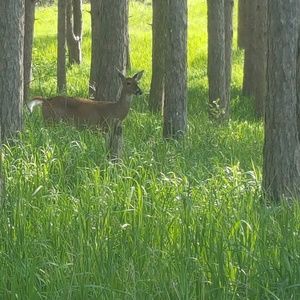 Meet your Posher, Erik