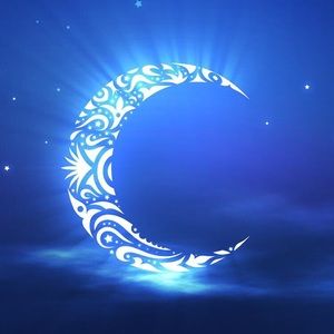 Meet your Posher, Lillian