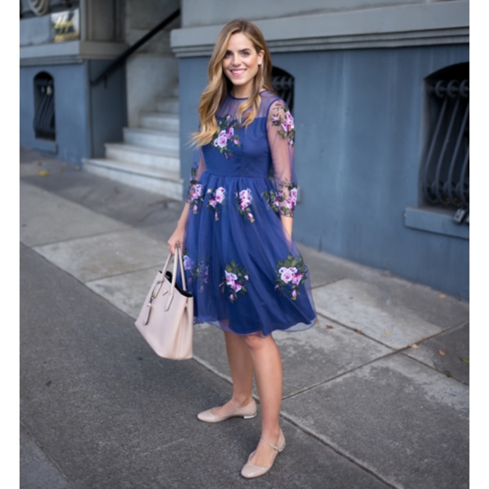Rose Embroidered Mesh Dress