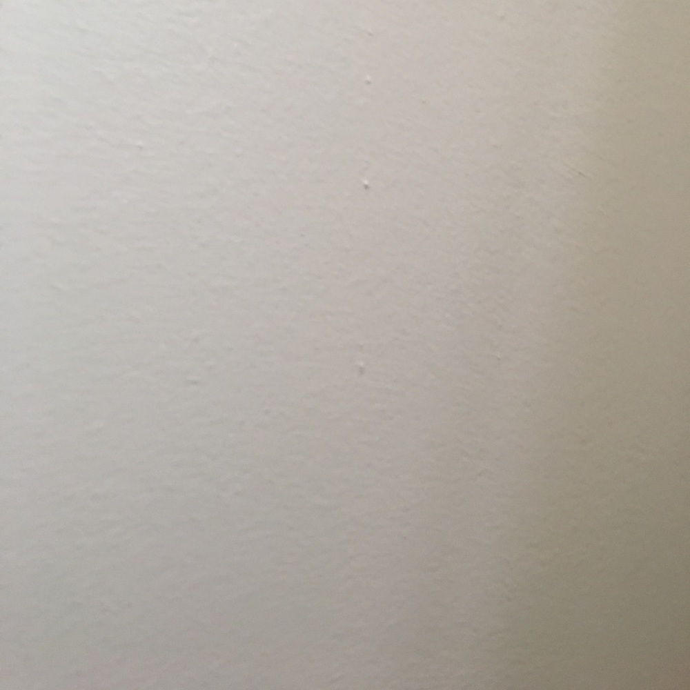 Meet your Posher, Jaiden