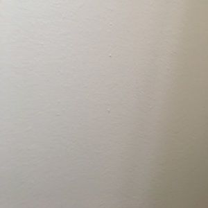 Meet your Posher, Jaiden