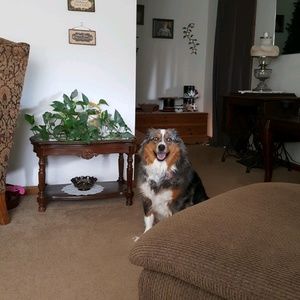 Meet your Posher, Marcie