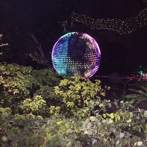 Meet your Posher, Paula