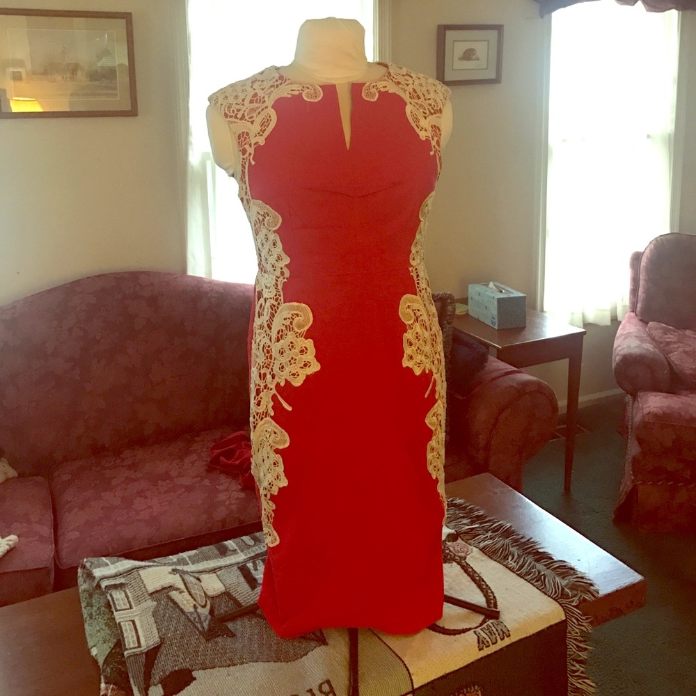Gorgeous red form fitting dress with lace accents