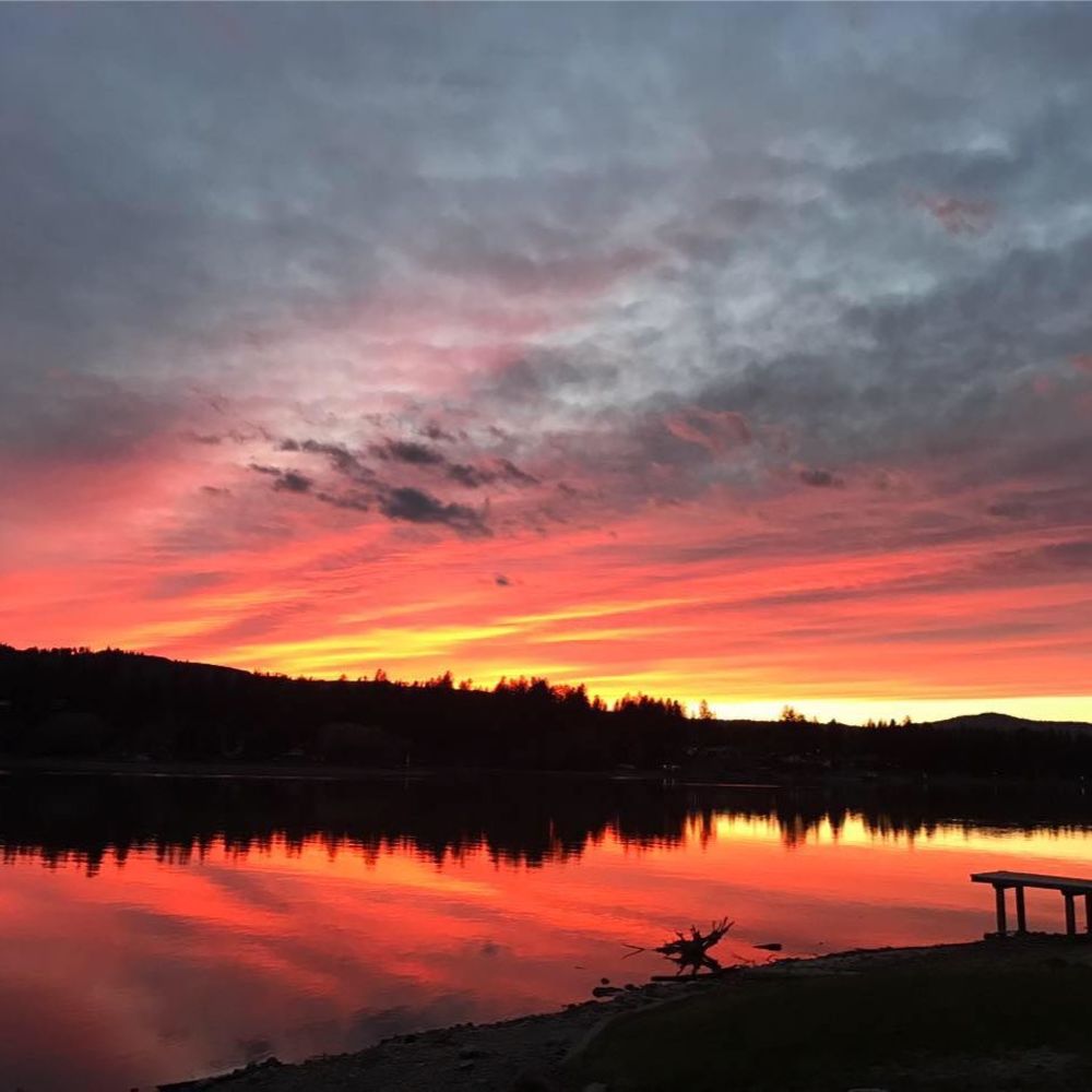 Meet your Posher, Joy