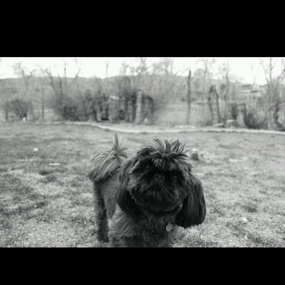 Meet your Posher, Travis - Picture 1 of 1