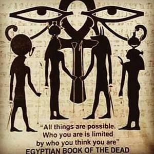 Meet your Posher, Shontese