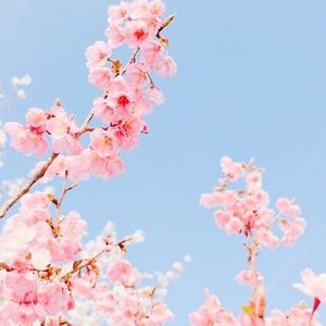 Meet your Posher, Chloe