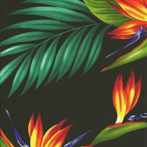 Meet your Posher, Isabel