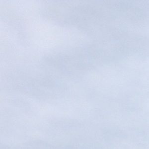 Meet your Posher, Ally