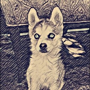 Meet your Posher, Andres