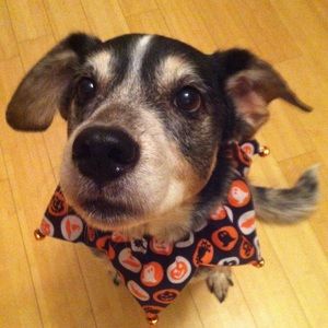 Meet your Posher, Cheryl