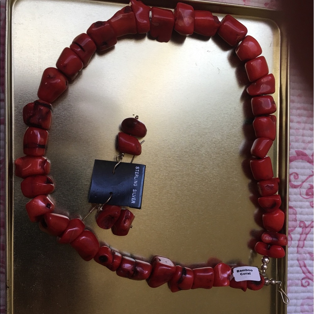 Coral bamboo earrings and necklace