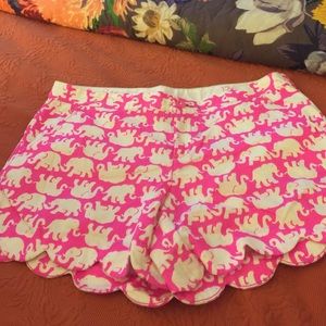 Pink tusk in the sun shorts