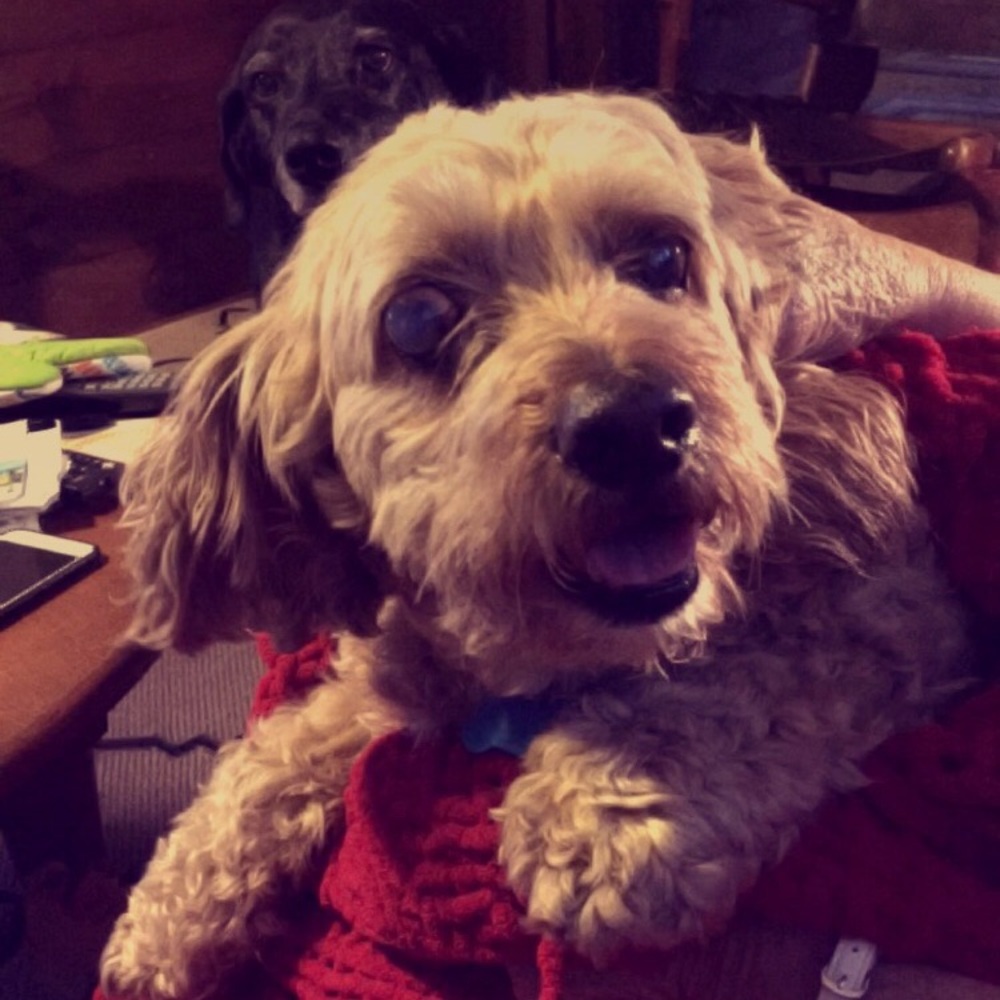 Meet your Posher, Michaela