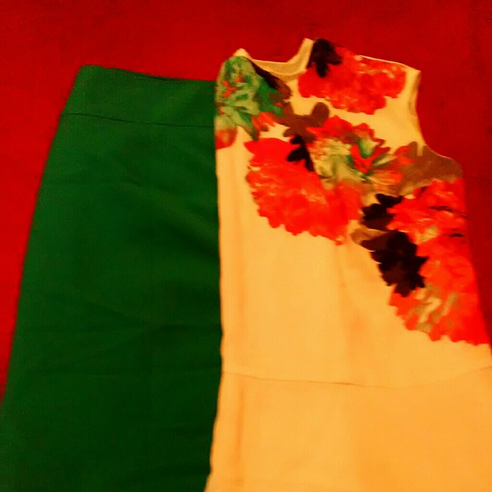 Skirt and blouse