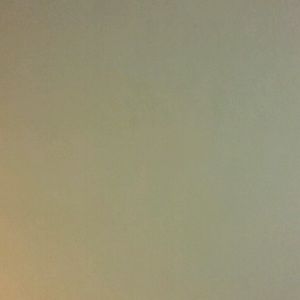 Meet your Posher, Maurice