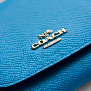 NWT Coach Small Wallet 53716 Azure