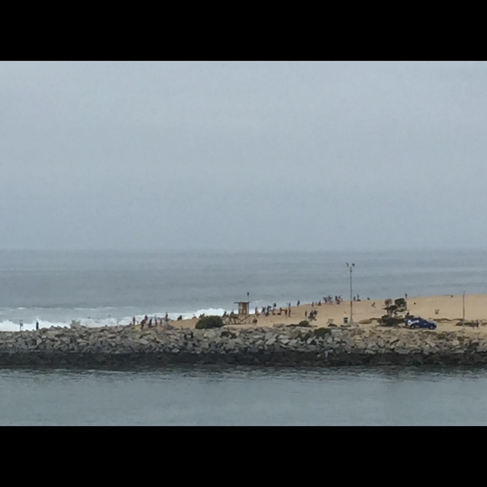 Meet your Posher, Patricia