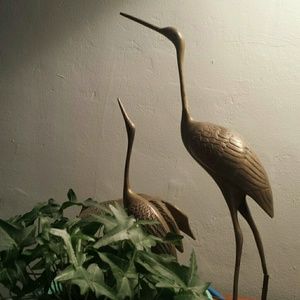 Meet your Posher, Vicky