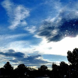 Meet your Posher, Paul