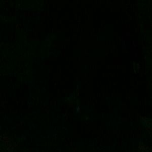 Meet your Posher, Antonio