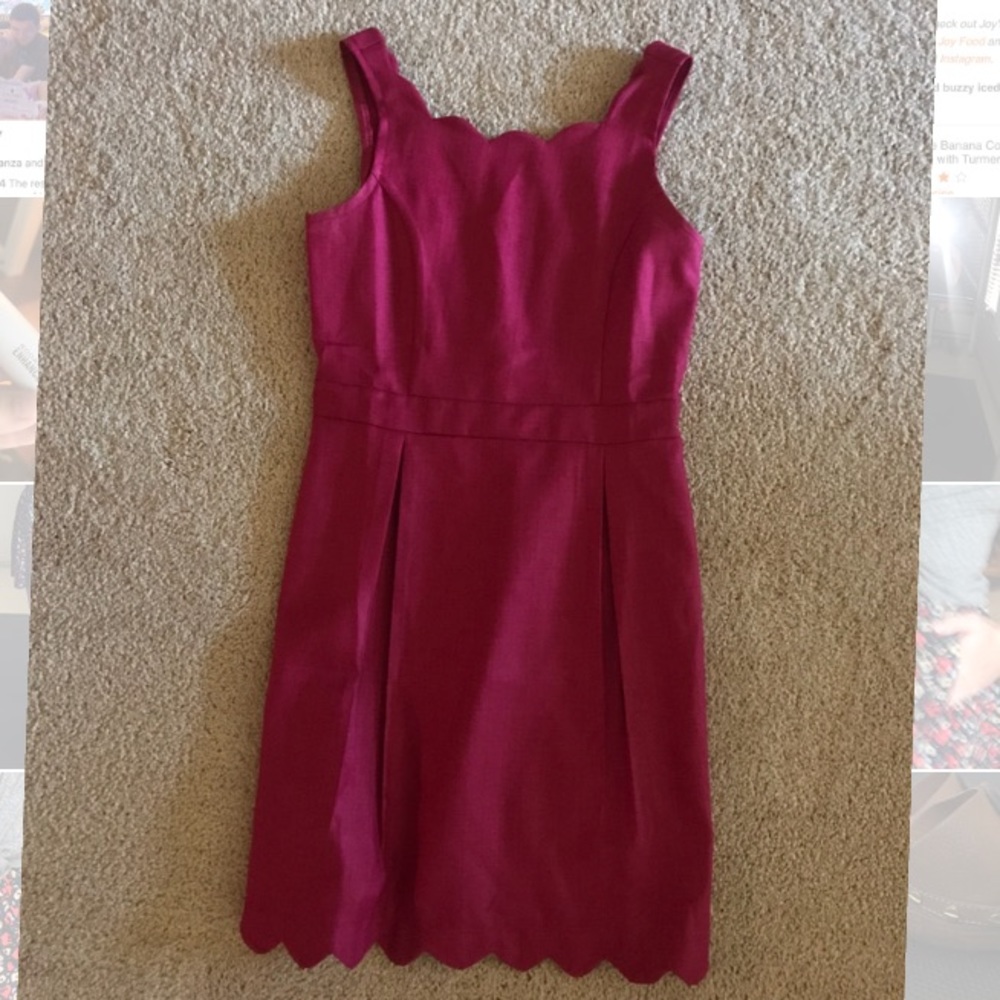Beautiful Berry Pink Dress