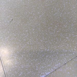 Meet your Posher, Perla