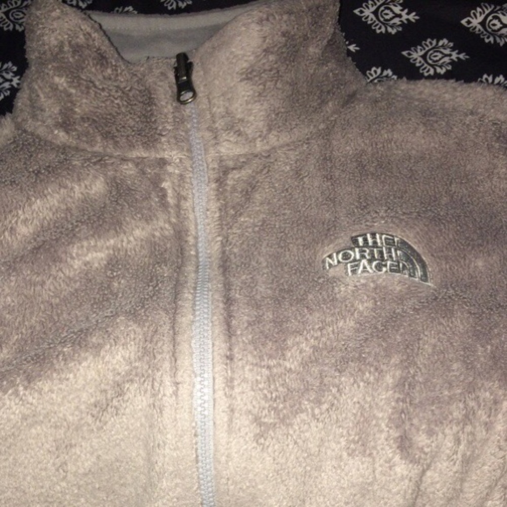 The north face jacket