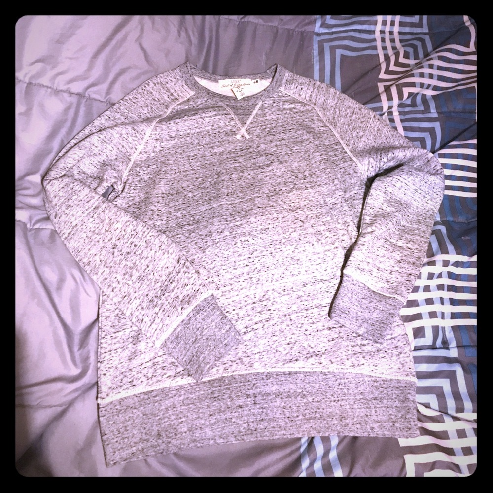 H and M L.O.G.G. Sweater