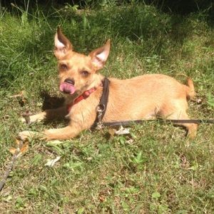 Meet your Posher, Katie