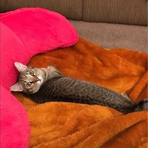 Meet your Posher, Deb