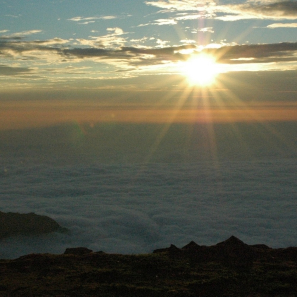 Meet your Posher, V. From BK Treasures