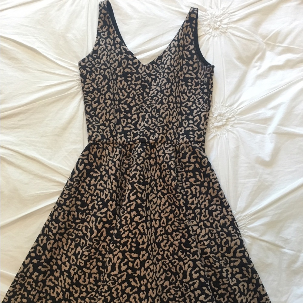 Nordstrom Printed Skater Dress