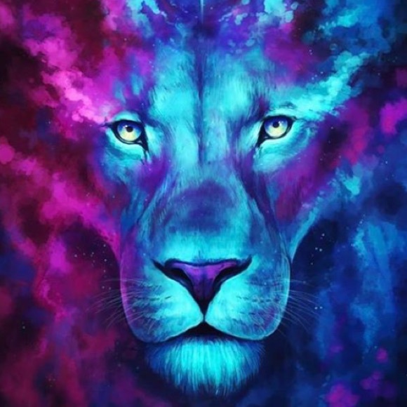 Meet your Posher, Dimitry - Picture 1 of 1