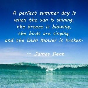 Meet your Posher, Joanne