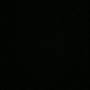 Meet your Posher, Terry