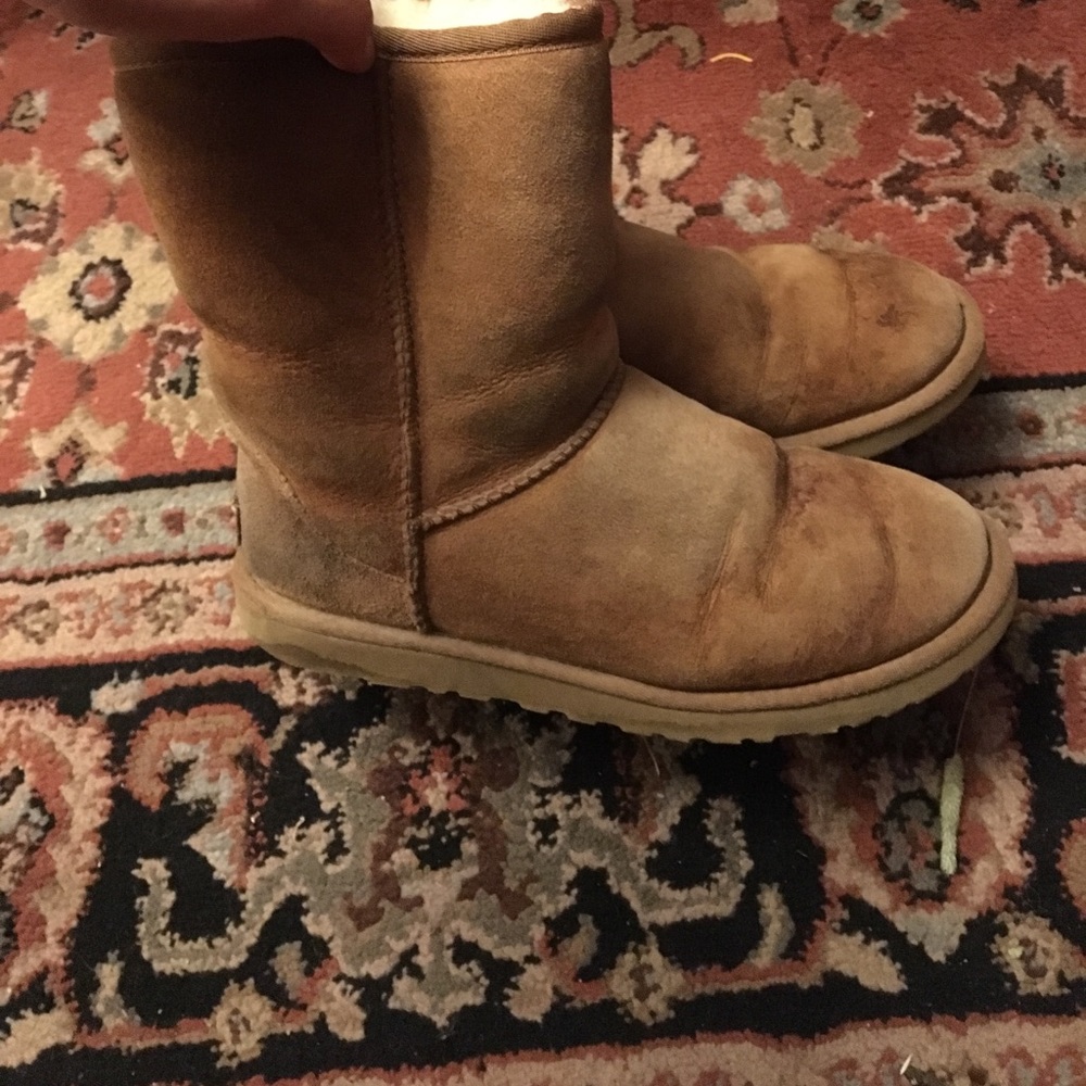 uggs - Picture 4 of 4