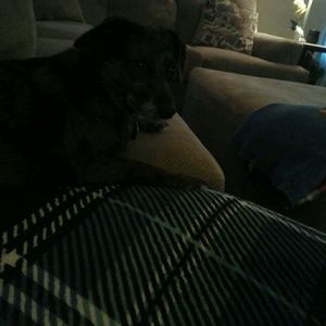 Meet your Posher, Judith