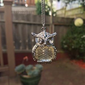 Long Owl Necklace
